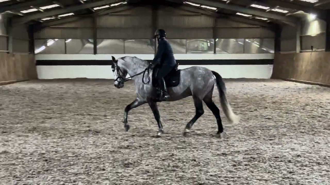 Nicola Sloper & Cacique GC N2 eriders winter champs 2025