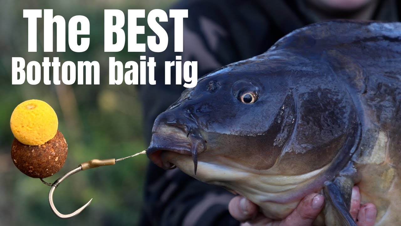 CARP FISHING - THE BEST BOTTOM BAIT RIG!!??👀🧐