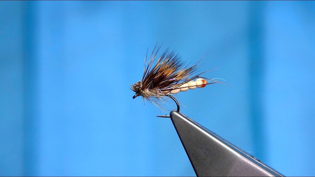 Tying an International Daddy/Hedgehog by Davie McPhail