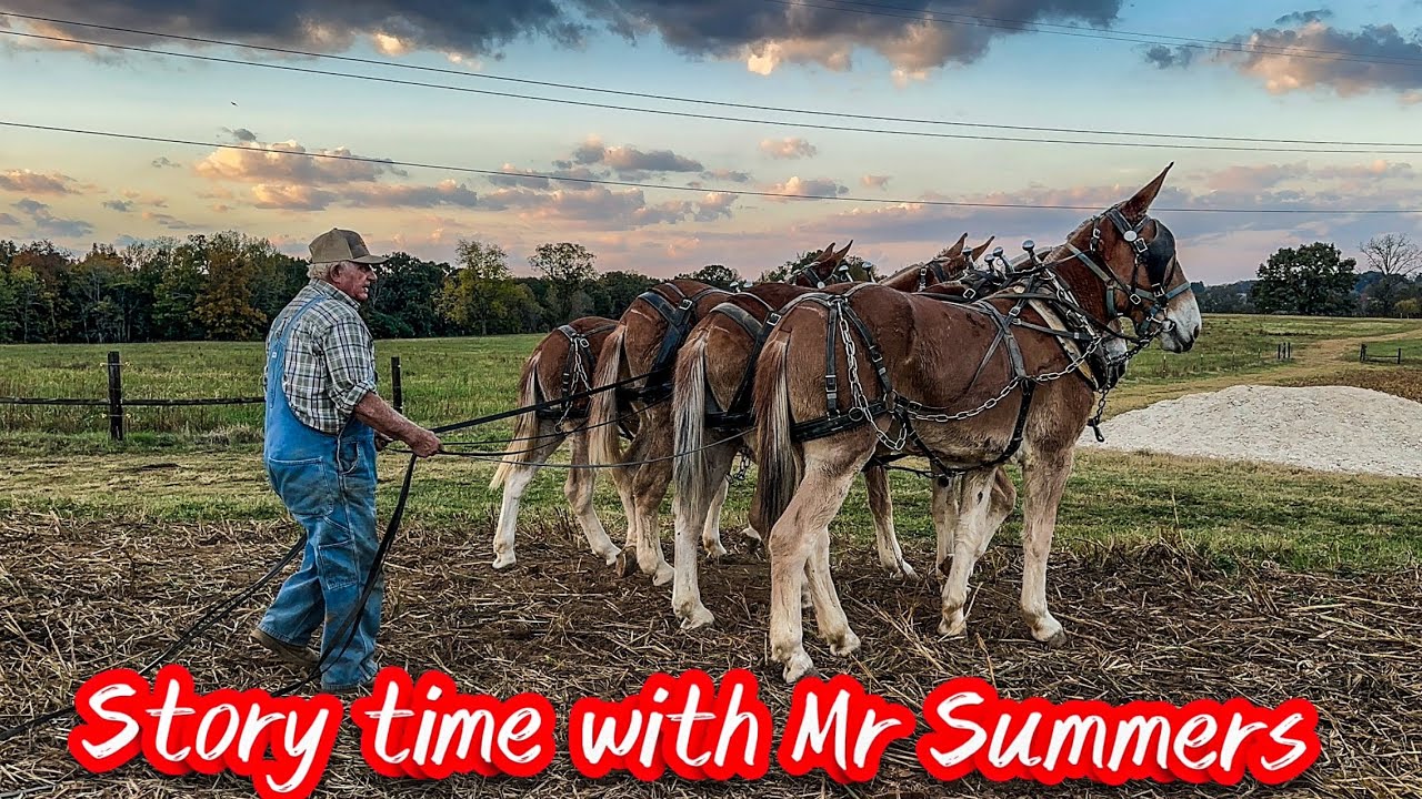 FIRE ENGINE MULES!!! Story time with Mr Summers…#158