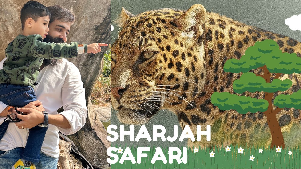 Adventure in Sharjah Safari Park | One Time Experience
