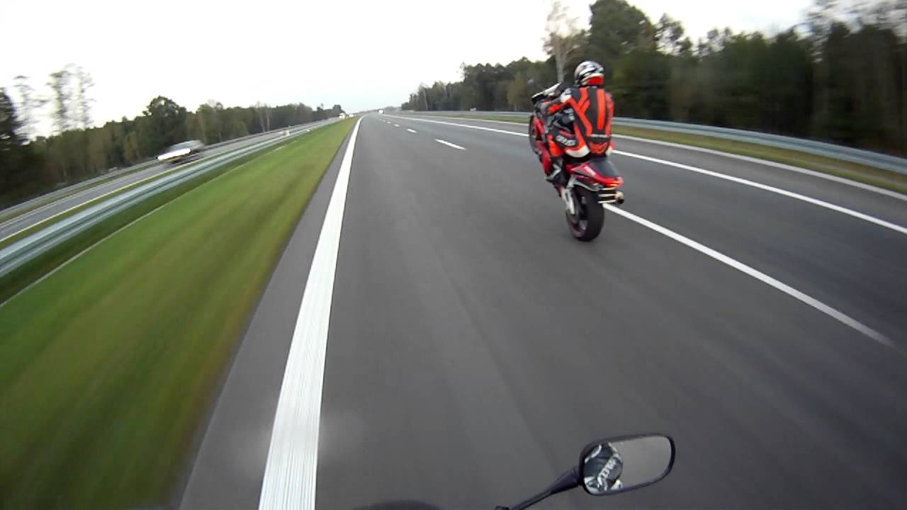 CBR 954 - M4NIEK-wheelie