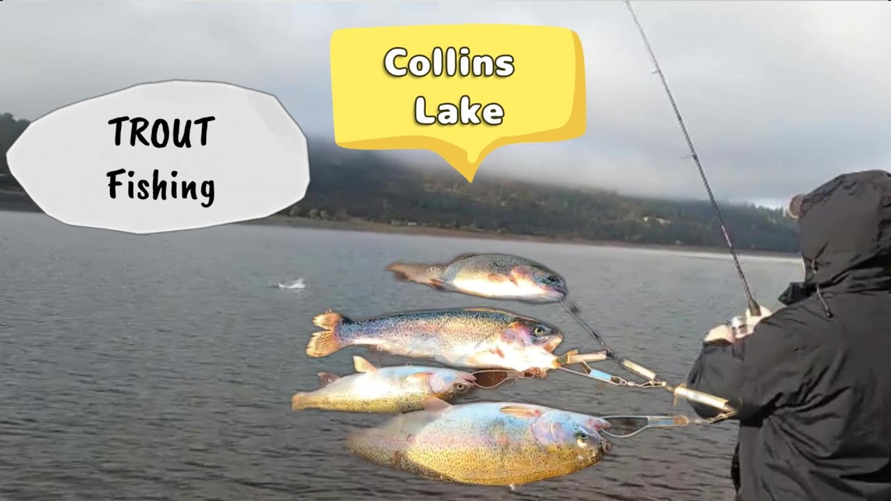 Collins Lake Trout Fishing 12/01/2025