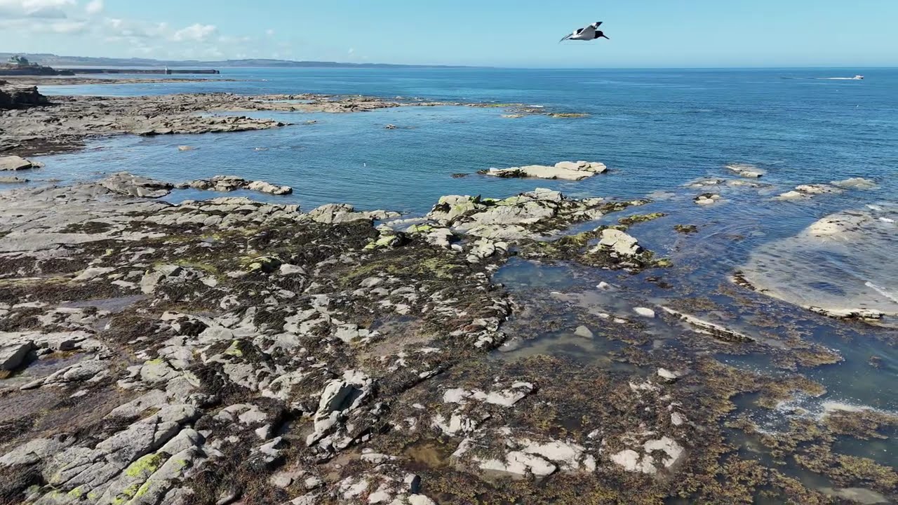 Beach days | Northumberland Coastal Path