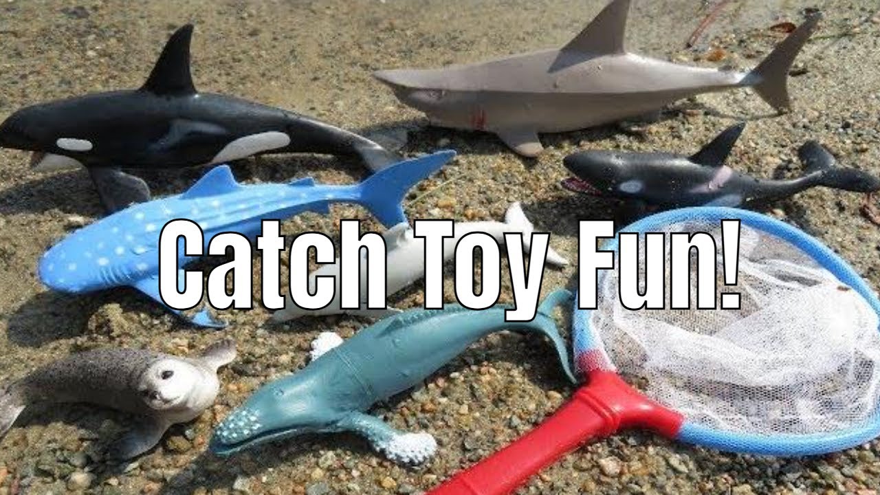 Catch Ocean Toys & Learn Names!
