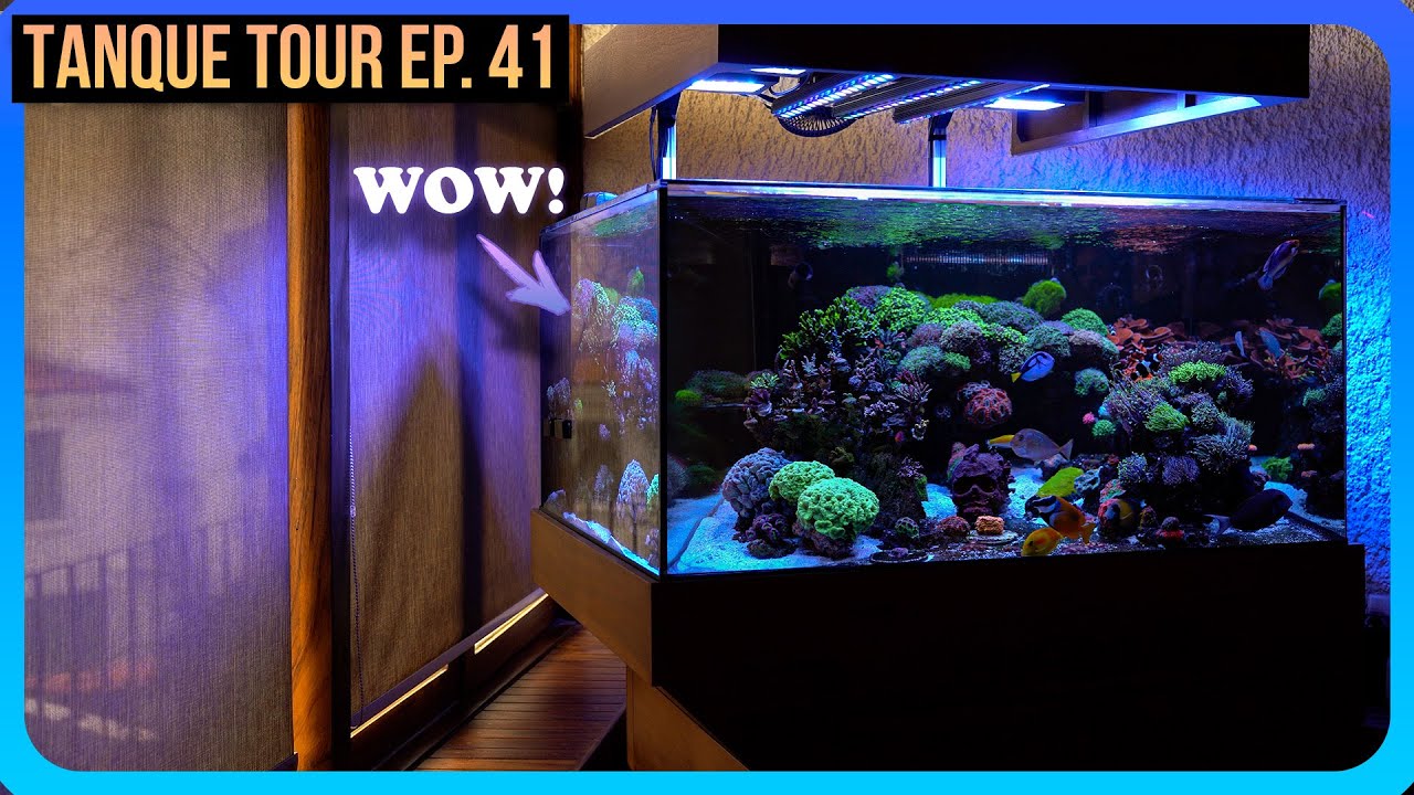 TANQUE TOUR Ep. 41 / Victor Vivas | OSO REEF