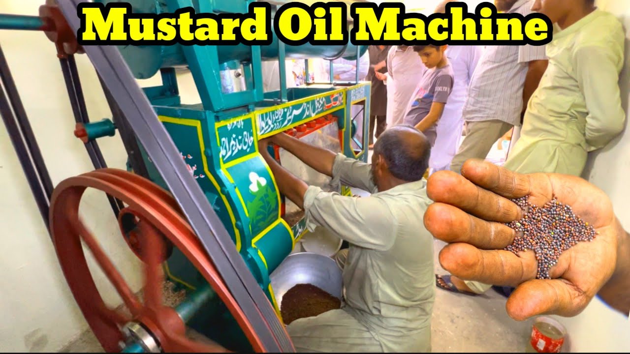 Mohal Mustard Oil Extraction Shop - Pressed Mustard Oil Machine - Oil Press Business Lahore
