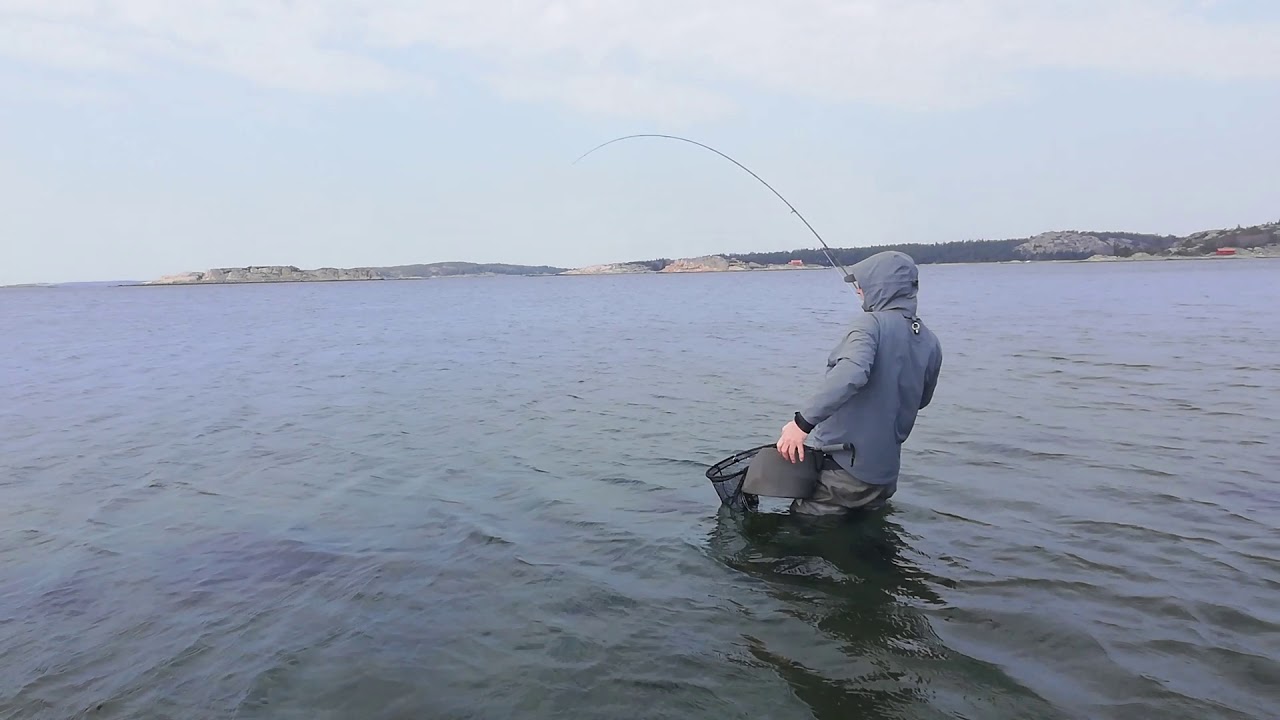 Resö RSF April 2019