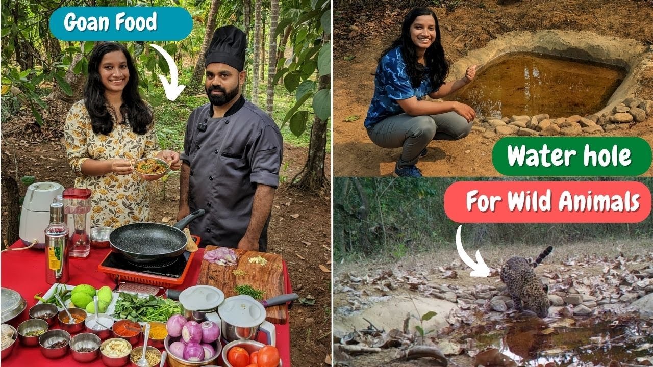 गोव्यातला एक खास दिवस | गोवन मेजवानी आणि Conservation Trail #goanfood #conservationtrail #goa