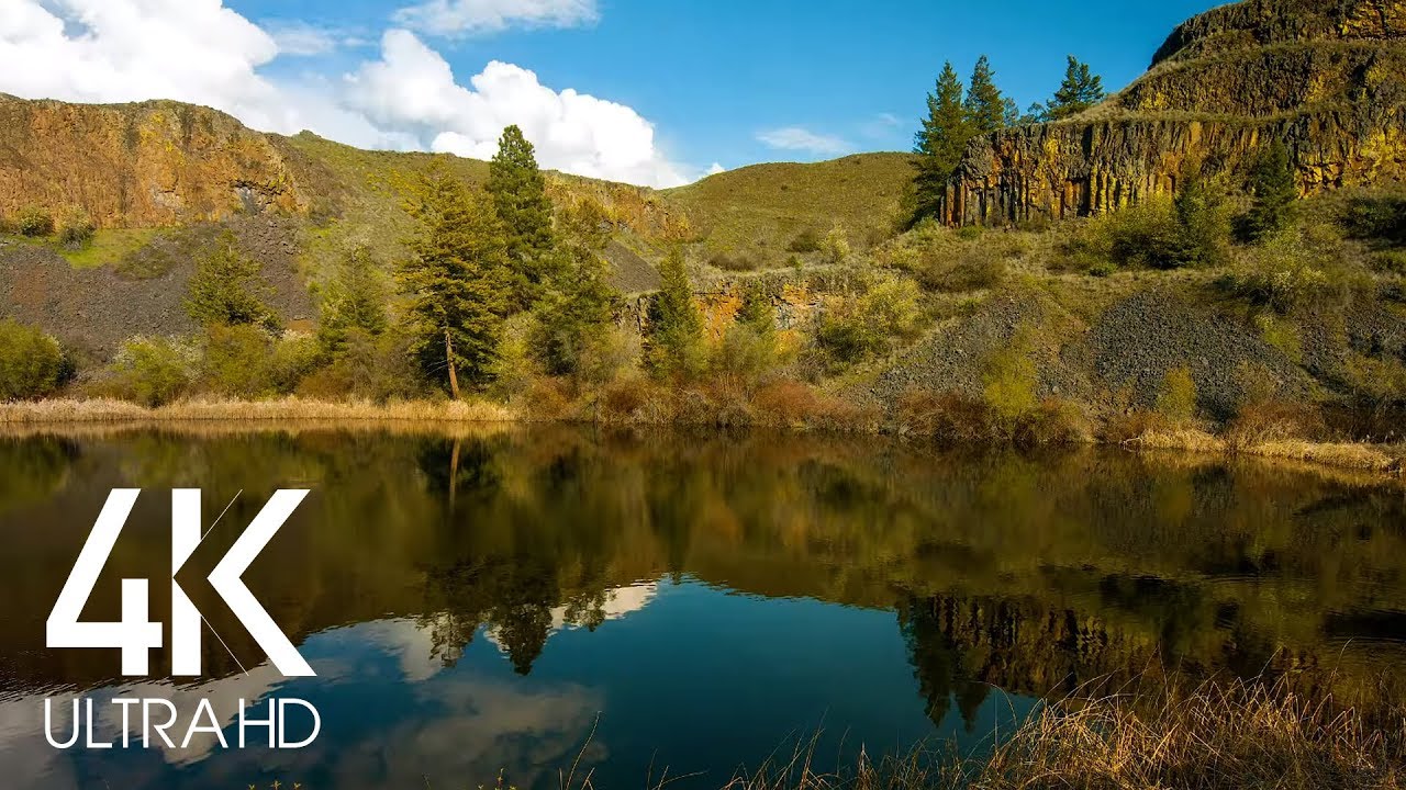 10 Hour - Lake Lapping Water & Birds Singing Sounds for Relaxation, Destress, Sleep