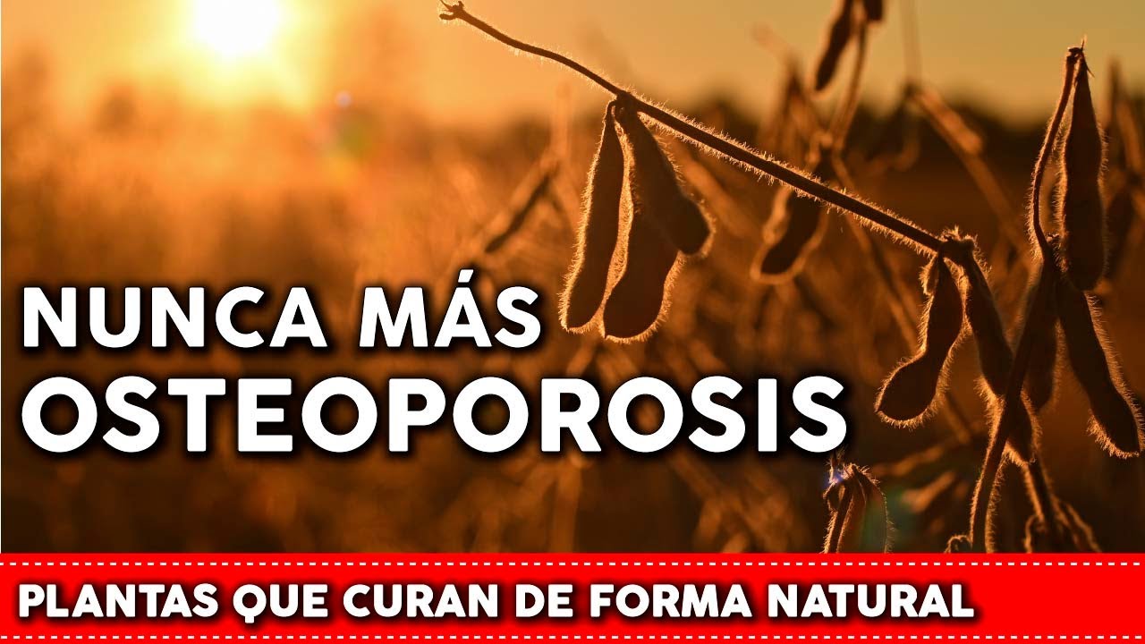 6 Plantas para tratar la OSTEOPOROSIS de forma natural