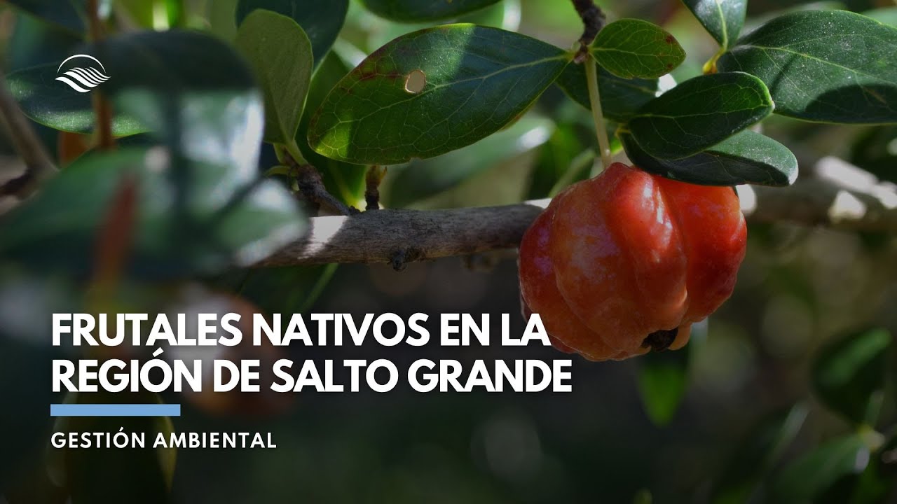 Frutales Nativos en la Región de Salto Grande