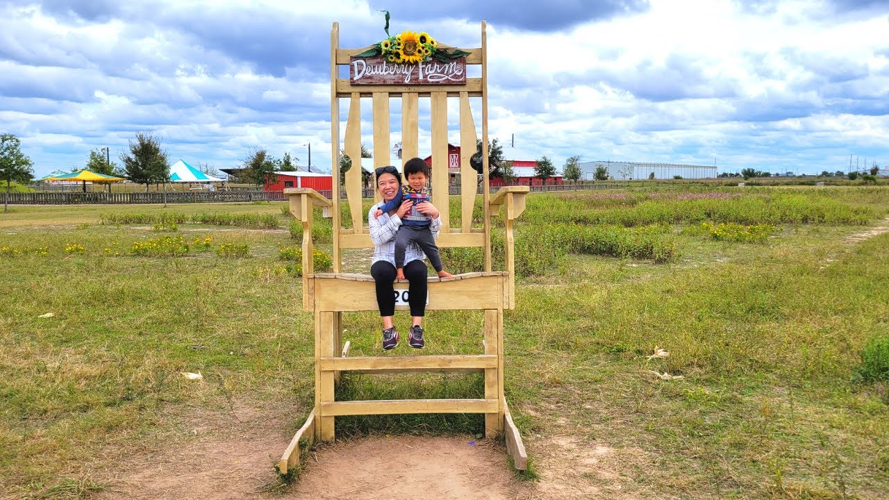 Corn Maze, Carnival Rides & Sweet Treats! Inside Dewberry Farm