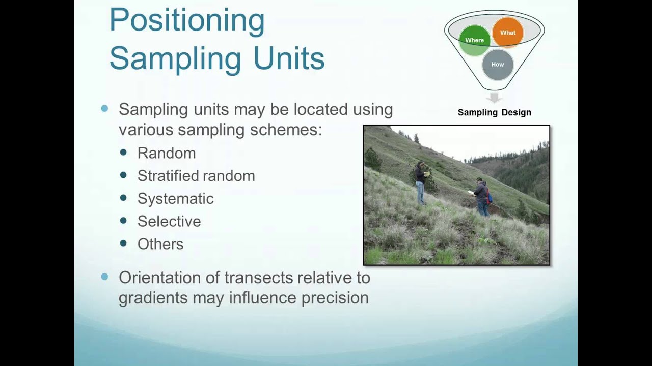 Sampling Design: Elements of Sampling Designs