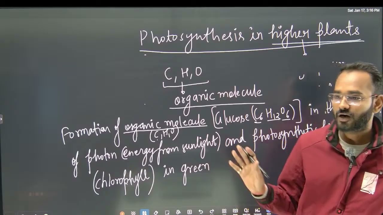 Demo video on intro of photosynthesis in higher plants ☘️