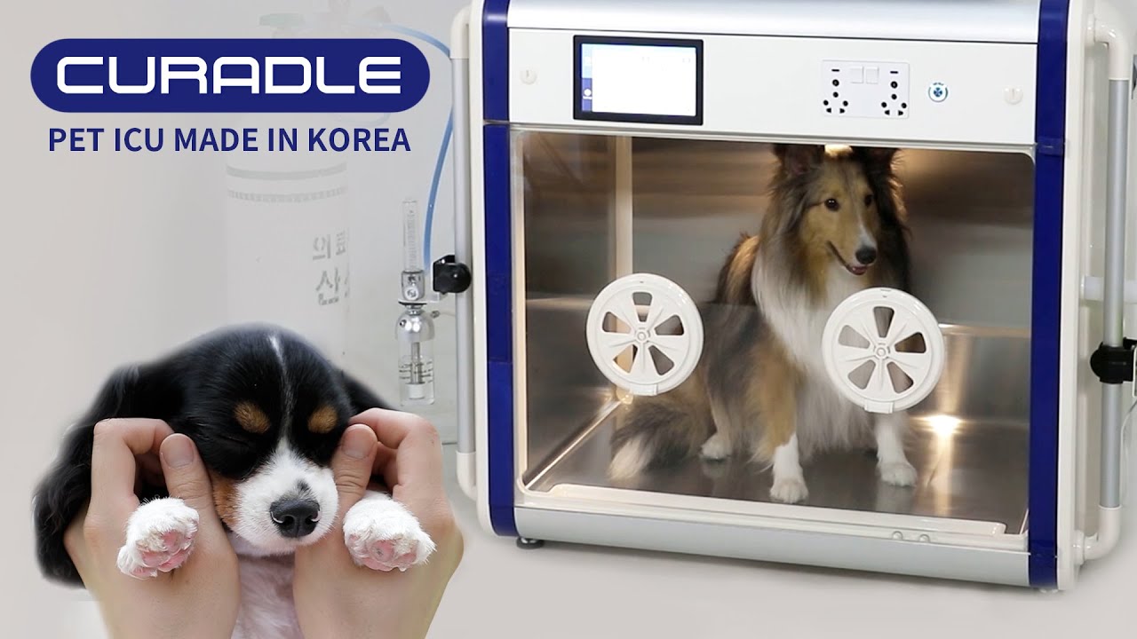 The best pet Incubator, introducing CURADLE
