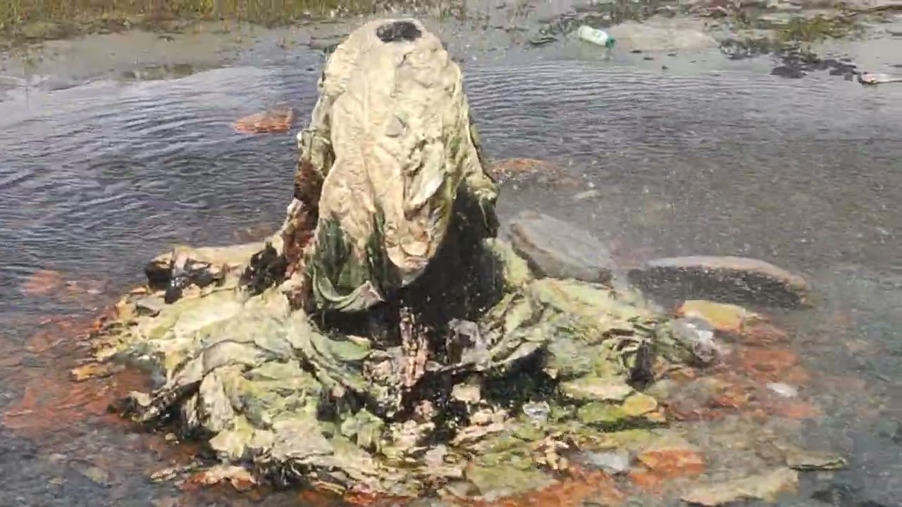 PUGA valley hot spring #ladakh