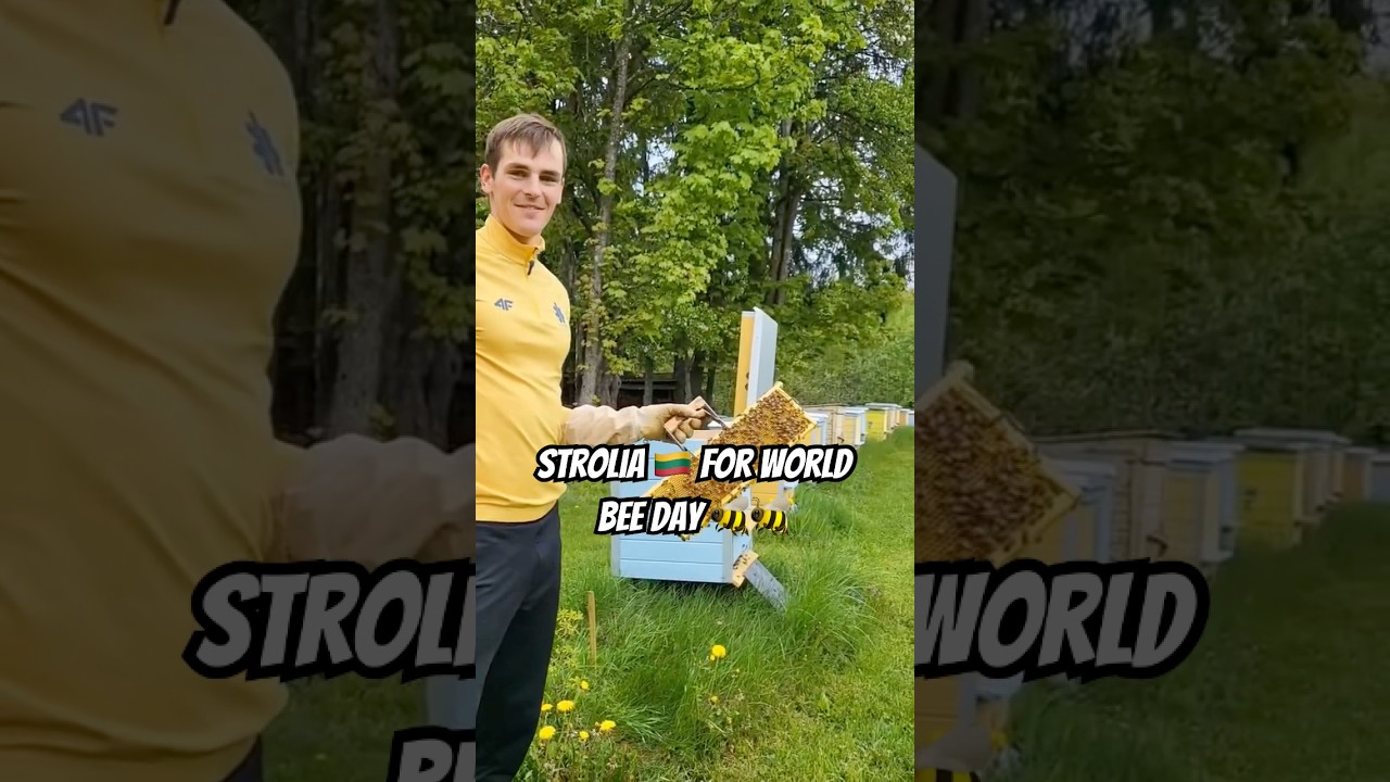 🐝 world bee day 🫶 with our biathlete and bee-keeper Strolia 🇱🇹 #biathlon #bees