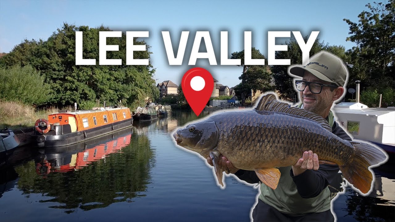 River Carp Fishing - Lee Valley