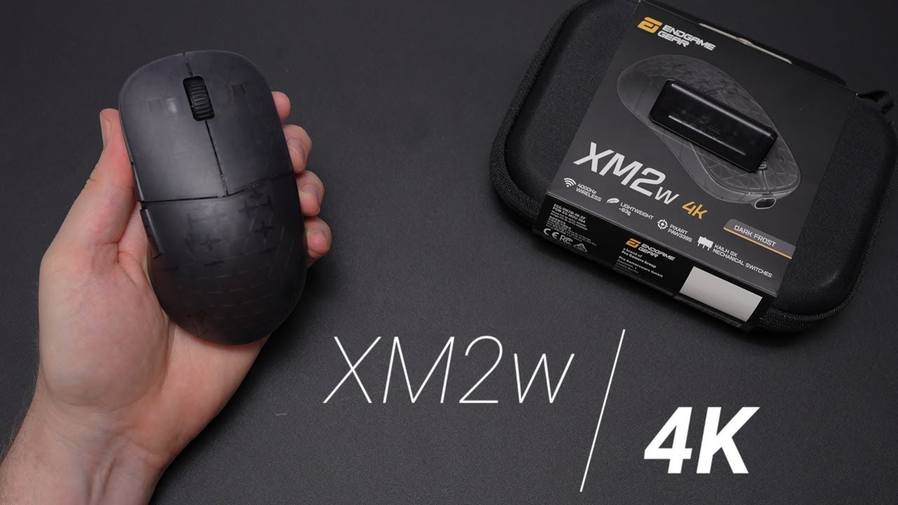 Обзор Endgame Gear XM2w 4K