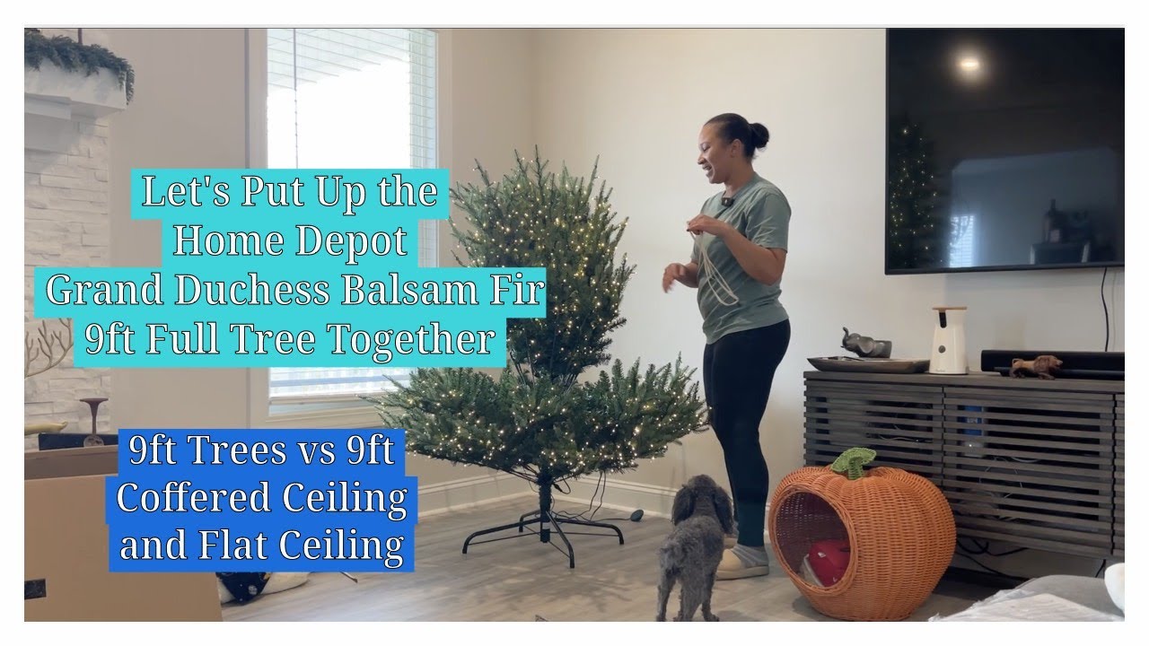 Home Depot 9ft Full Grand Duchess Balsam Fir and Ceiling Height