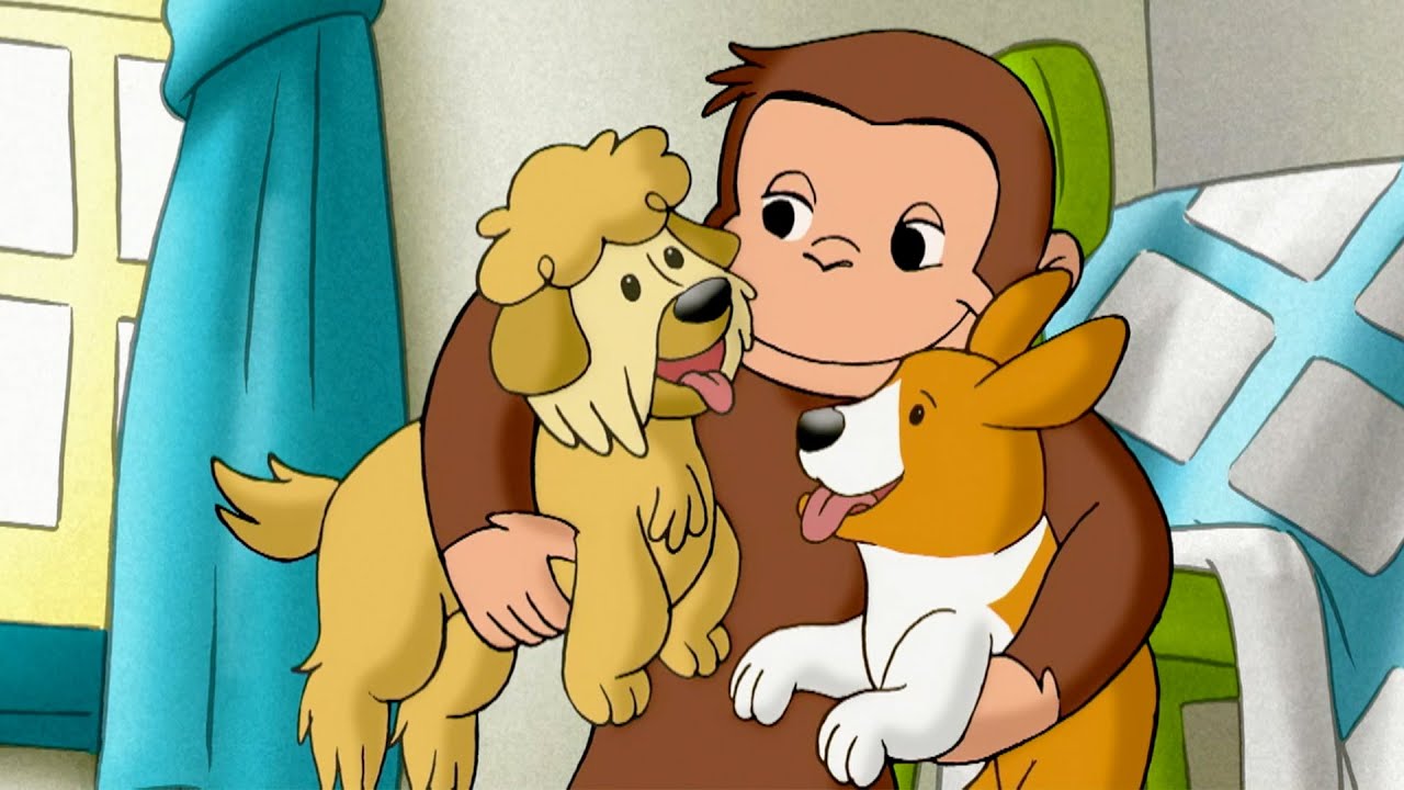 ジョージの犬だらけのアパート！ 🐵 おさるのジョージ