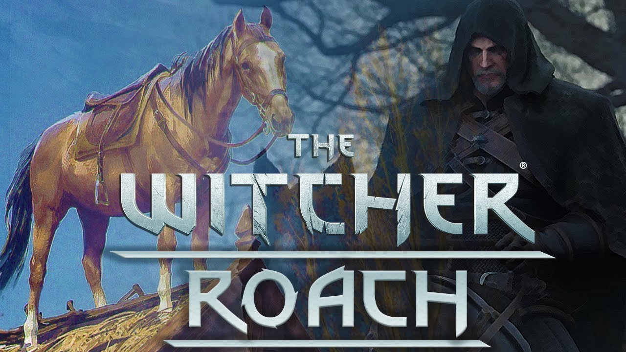Why Geralt Calls All Of His Horses Roach - Witcher Lore - Witcher Mythology - Witcher 3 lore
