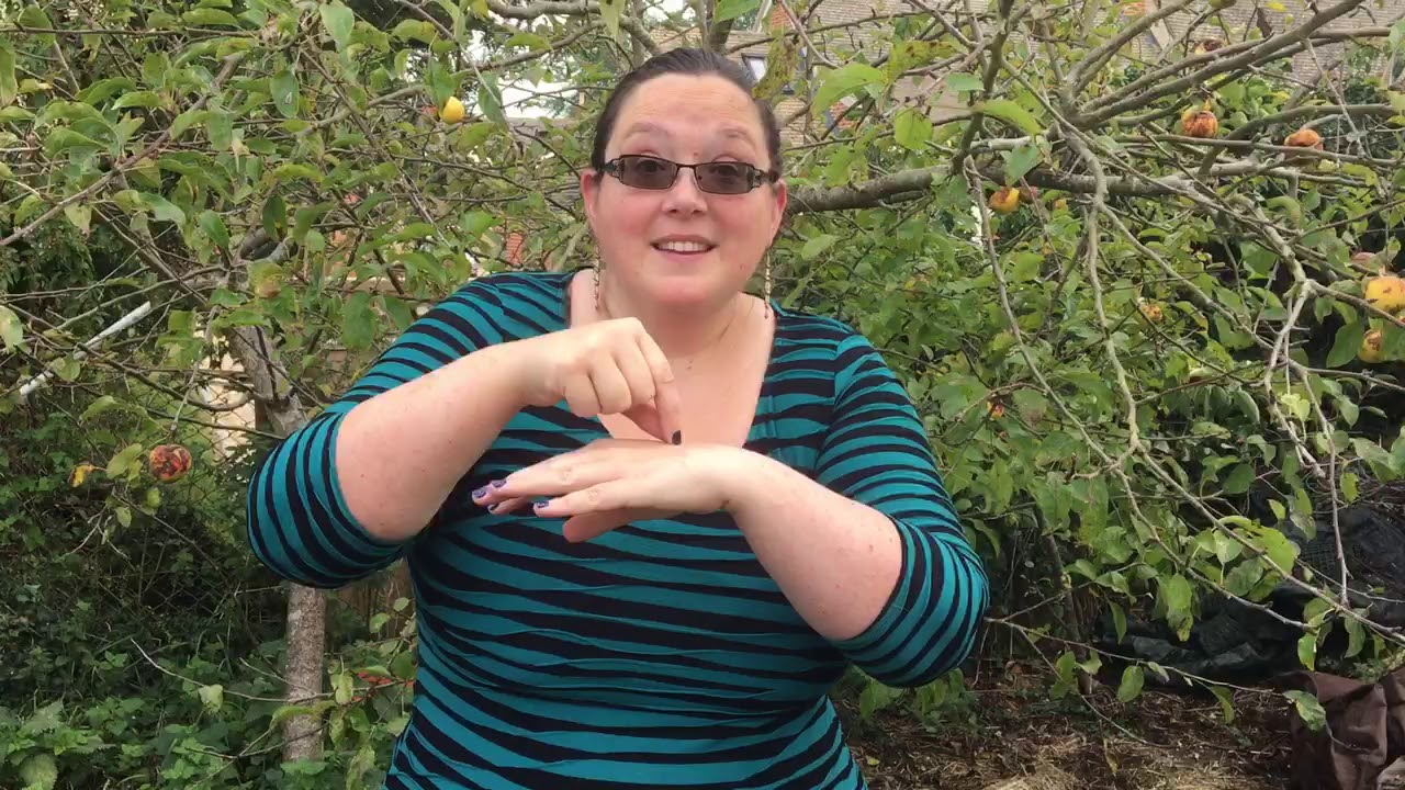 Makaton sign of the week - hedgehog
