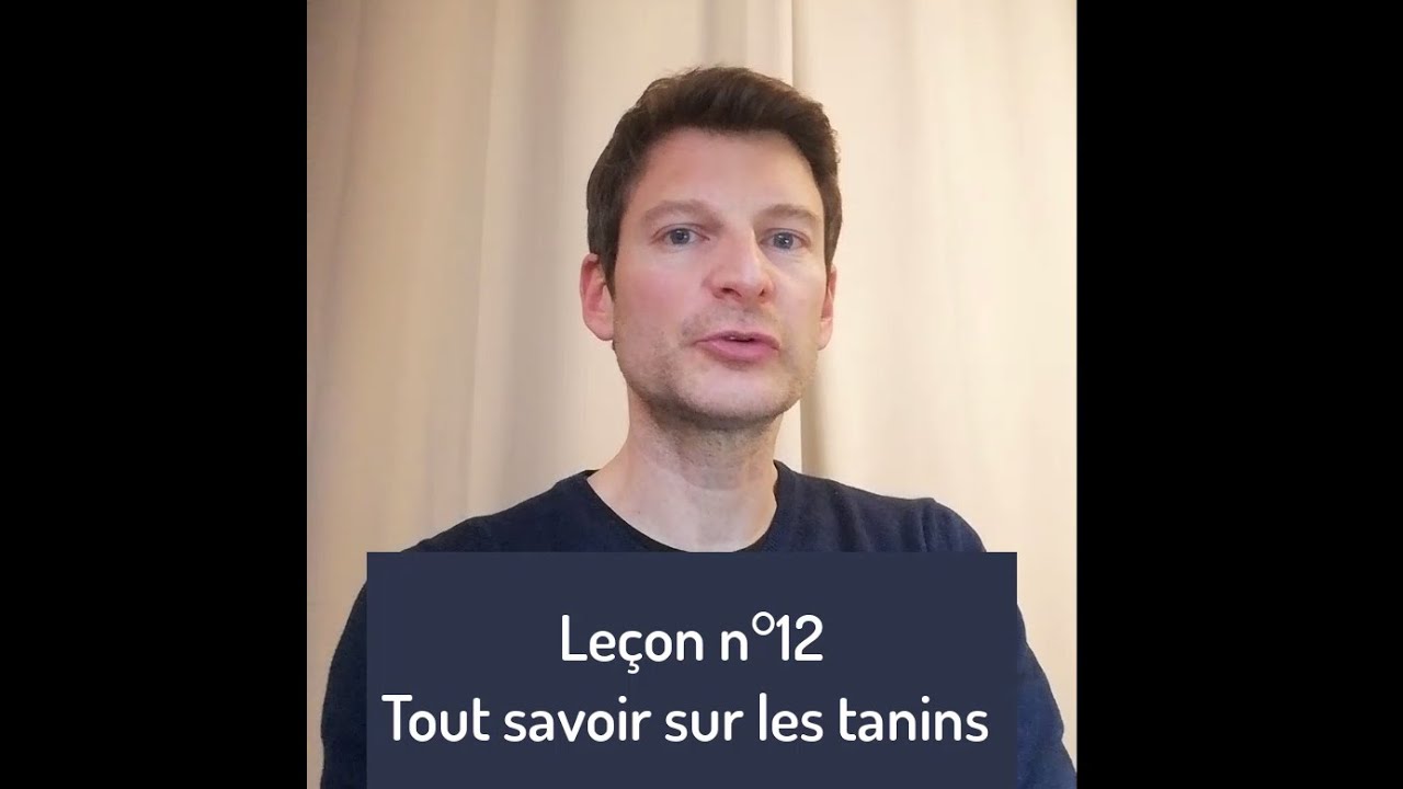 Les TANINS : Une Vidéo Pour Tout Savoir