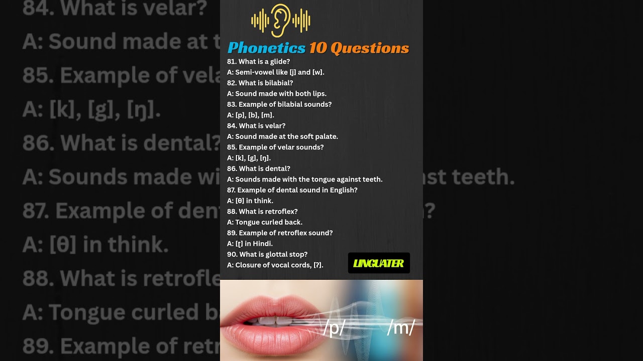 Phonetics Made Easy | Learn Bilabial, Velar & Dental Sounds Fast! 🔤 