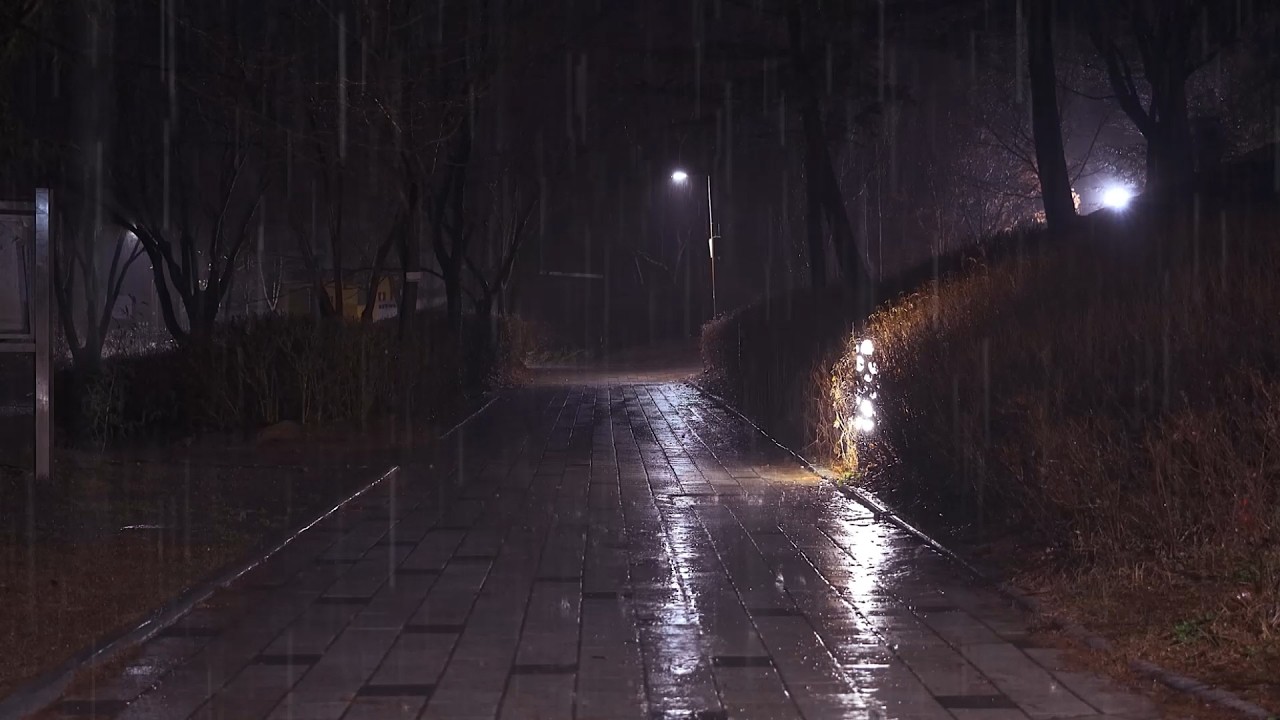 Relieve Stress and Sleep Instantly with Forest Rain Sounds, Brown Noise, Rain Therapy ASMR