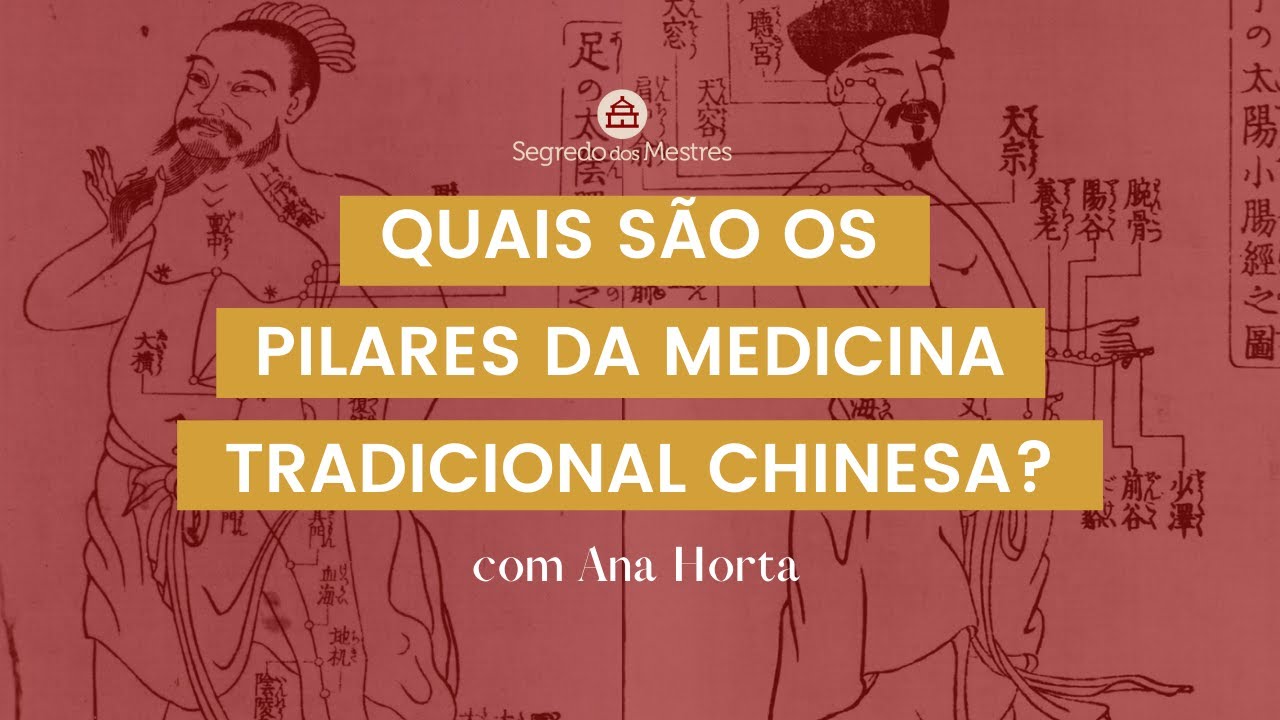 QUAIS SÃO OS PILARES DA MEDICINA TRADICIONAL CHINESA?