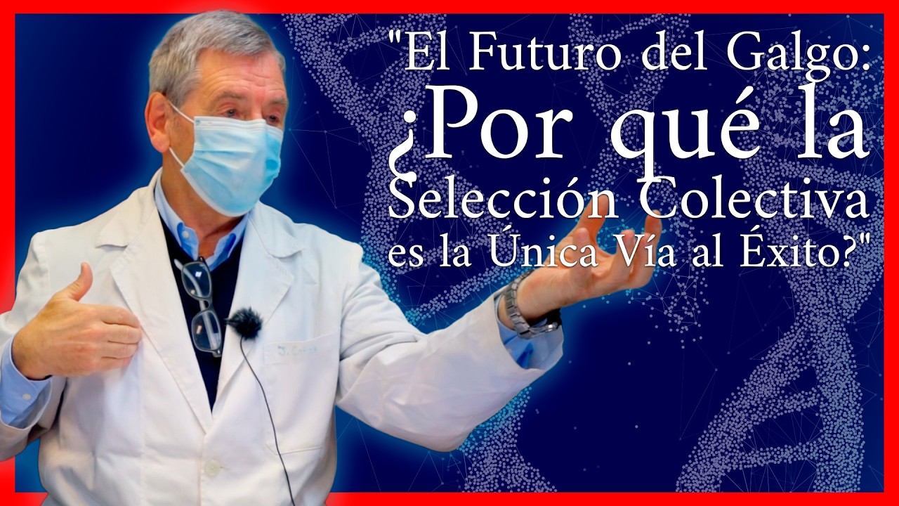 Más allá de la Reata: Por qué los Campeones no siempre son buenos Sementales | Genética con Dr Cañón