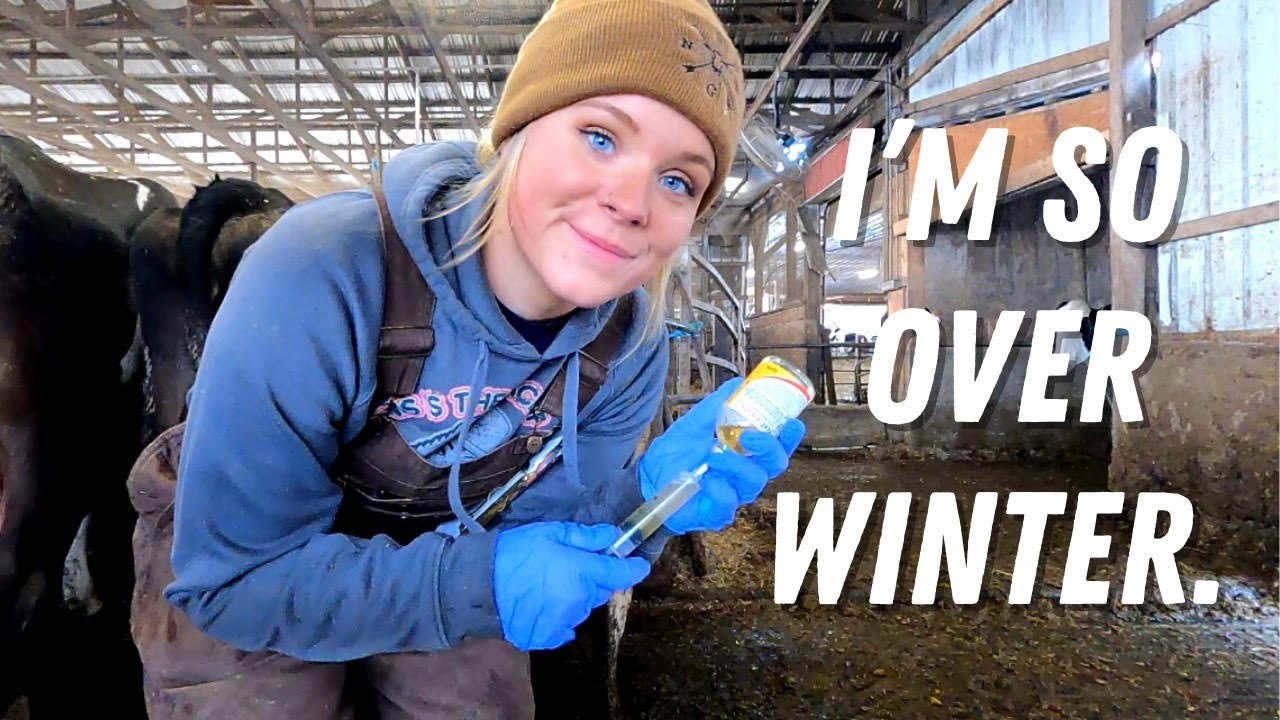 DAIRY FARMING: WINTER EDITION