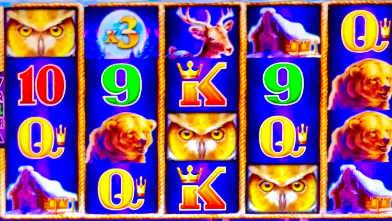 BIG-BIG TIMBERWOLF GOLD WINS. #slotman #casino #slotmachine 