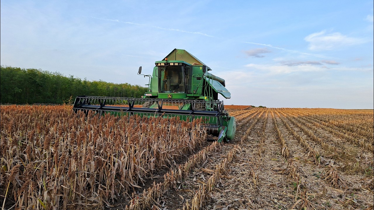 NEM indul a KOMBÁJN! l Cirok aratás 2025 - John Deere 9660 WTS