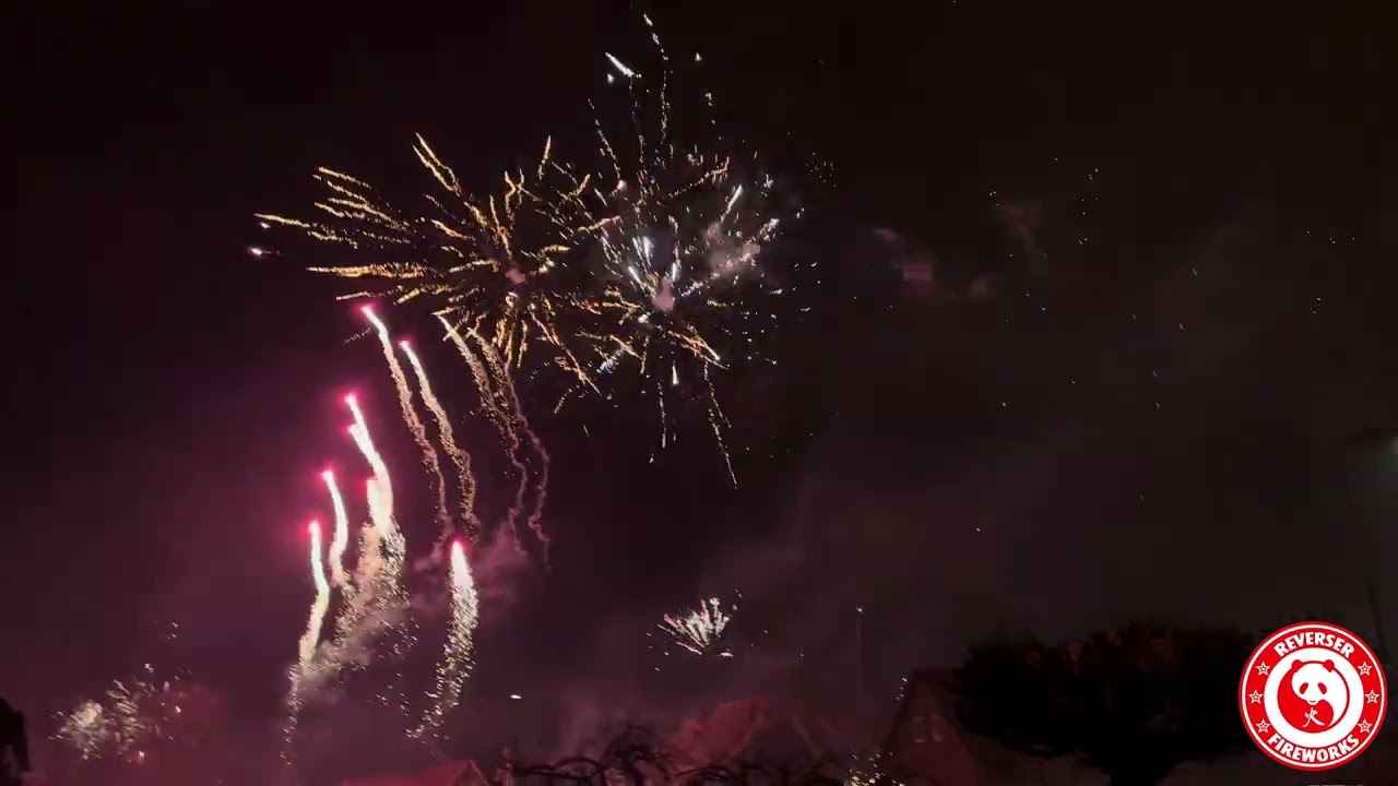 Oud en Nieuw/Silvester 2024-2025