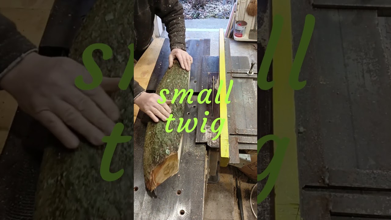 small twig #easywoodtools #diywoodworking #diy #woodworkingtools #woodwork #workshop#woodworkertools