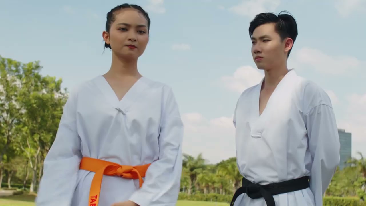 Taekwondo techniques breakdown