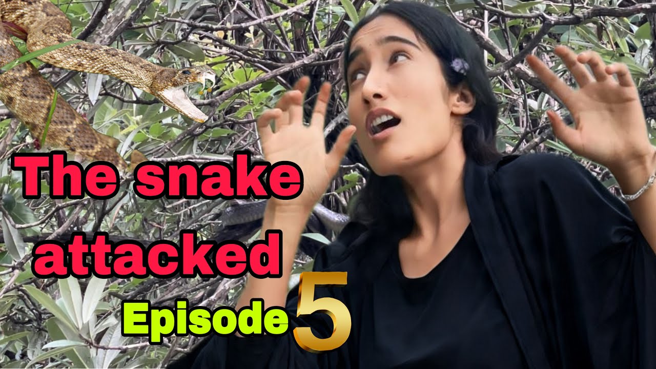 SNAKE ATTACKED || Rubi9 || HIMACHAL PRADESH LIFE 