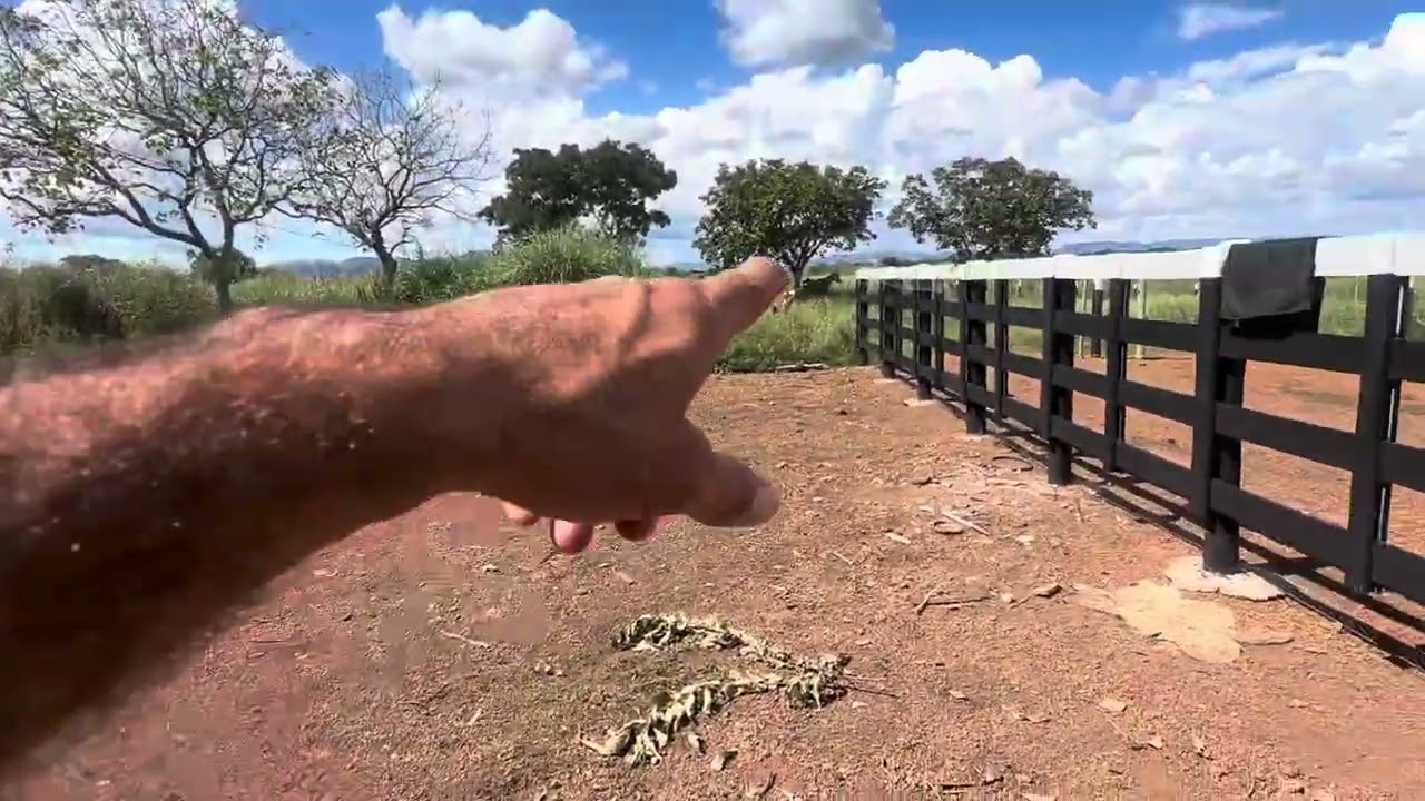 Uma das melhores a venda novamente 400 metros da br 020