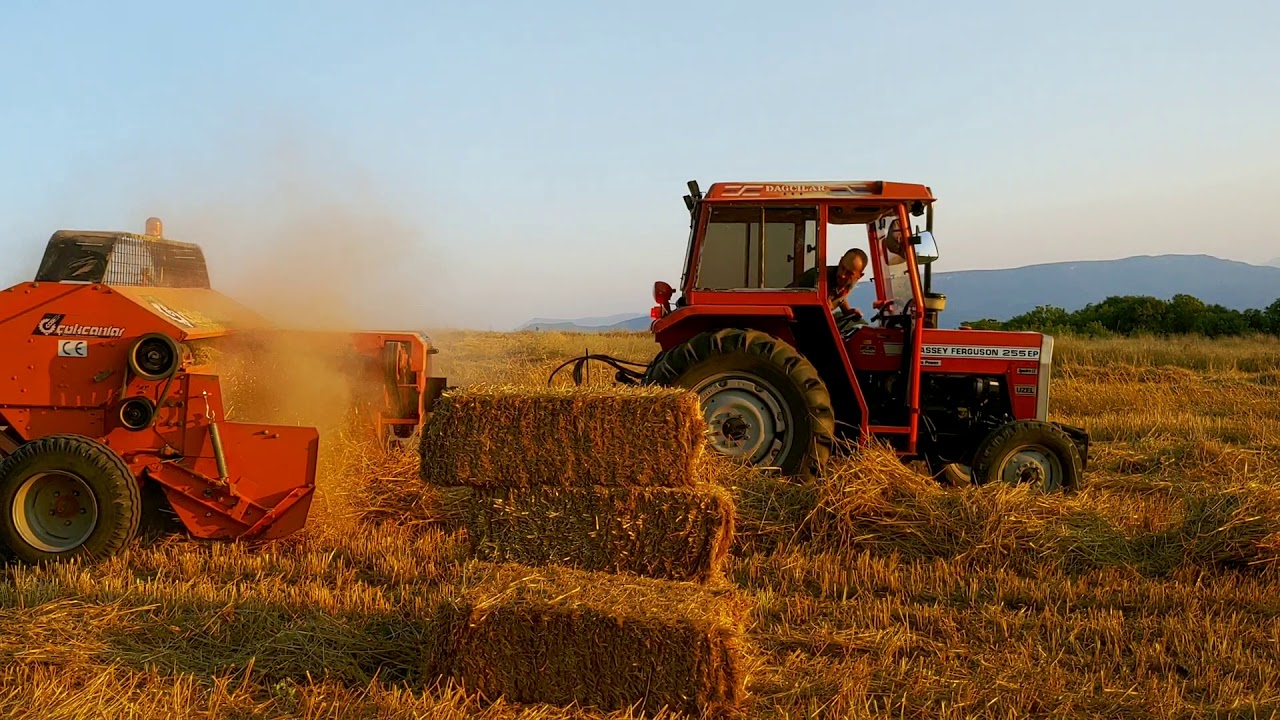 MASSEY FERGUSON 255 TURBO EP - ÇOKCANLAR 4320 BALYA MAKİNESİ (HİÇ ZORLANMIYOR !!) #3
