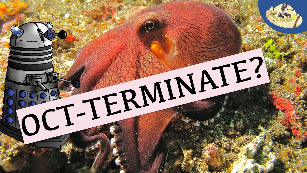 What Animal is like a Dalek? Doctor Who Animal Comparison ft. Natural World Facts