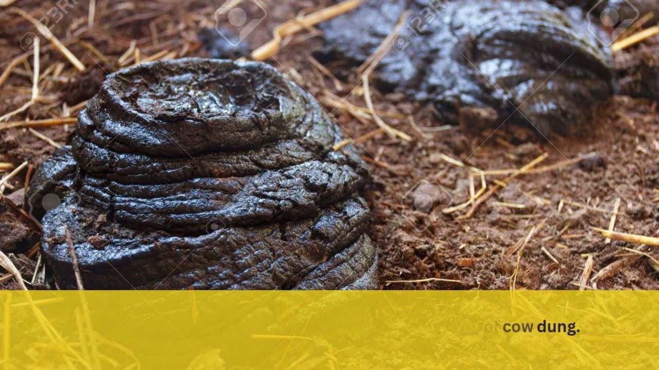 50 KG Cow Dung Based Biogas Plant Installation | Chinnachinta Kunta, Hyderabad