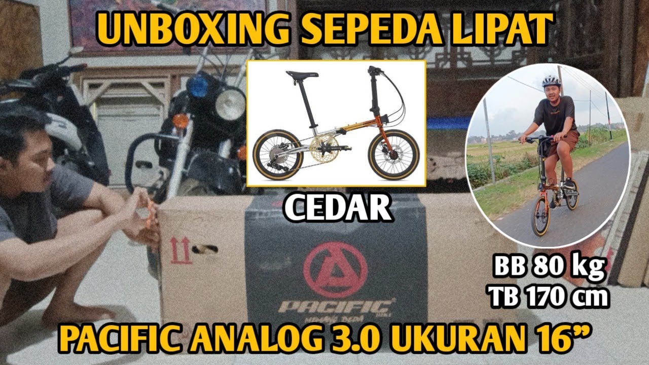 SEPEDA LIPAT PACIFIC ANALOG 3.0 CEDAR || ORANG GENDUT PAKE SEPEDA LIPAT 16 INCI