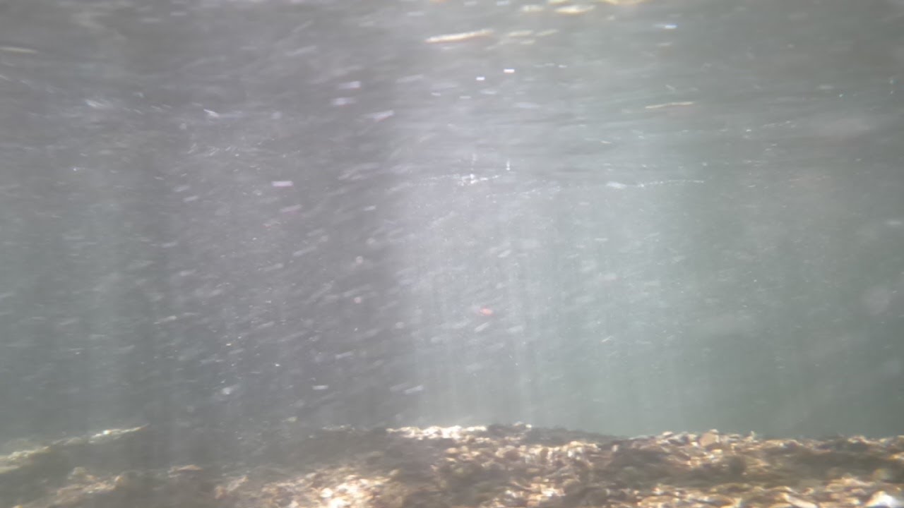 暑い夏に見る癒しの滝と水中