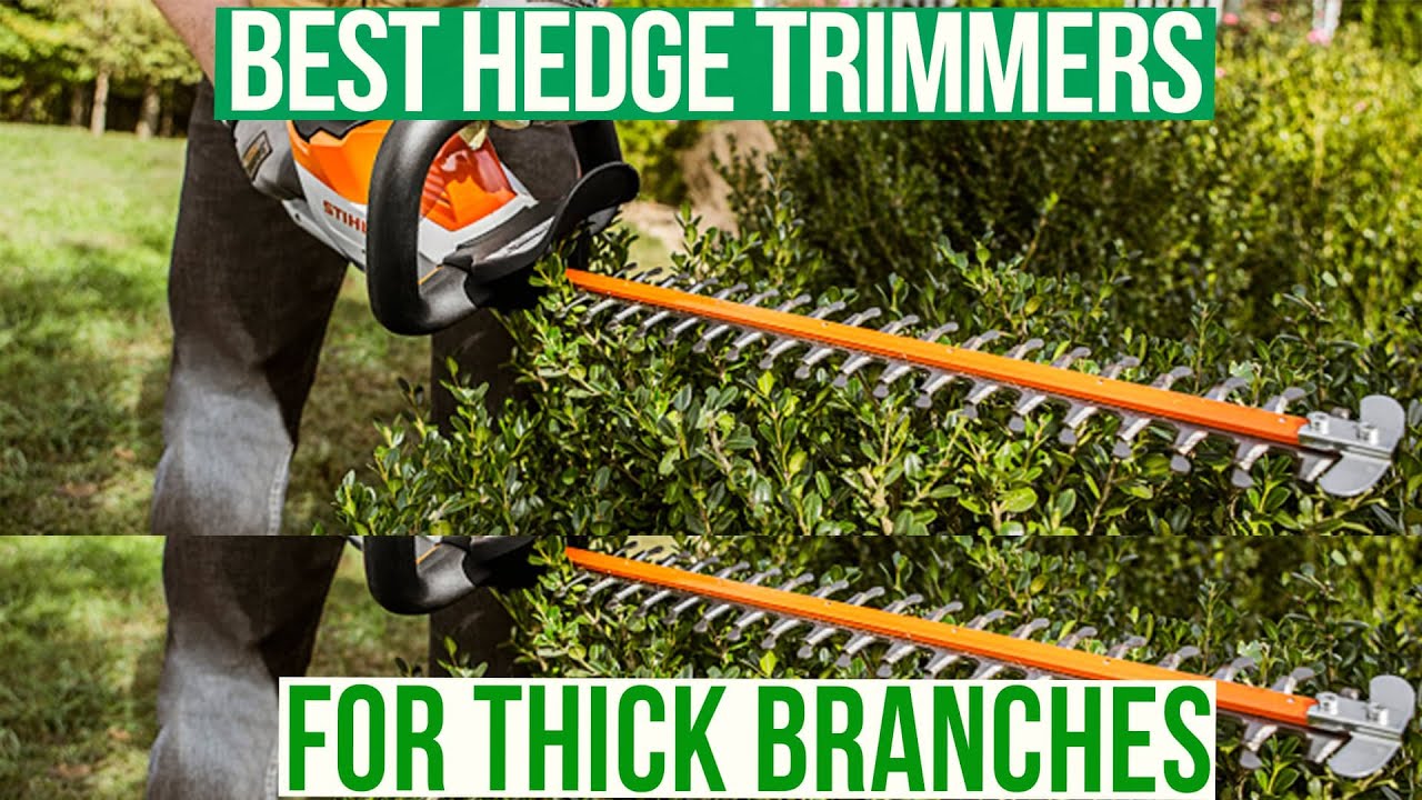 Best Hedge Trimmers For Thick Branches: Pros and Cons Discussed (Our Best Choices)