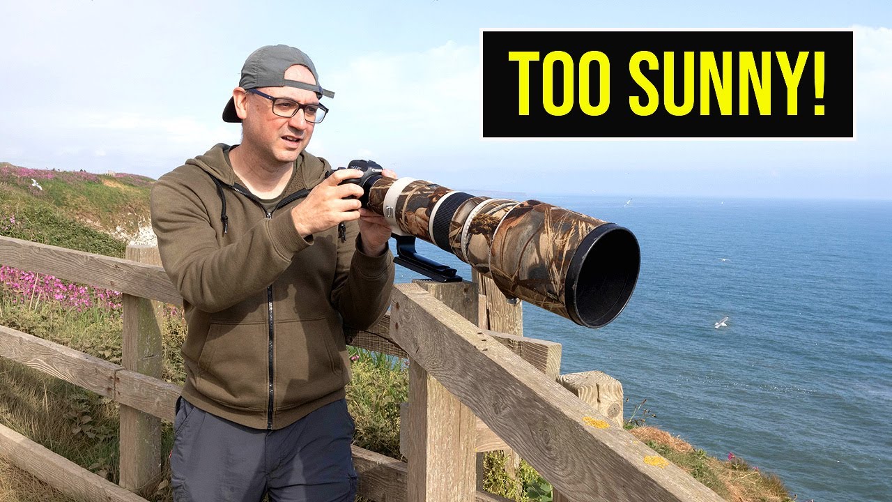 Bird Photography in Bright Sun (Canon R6 & EF 500mm F/4 Lens)