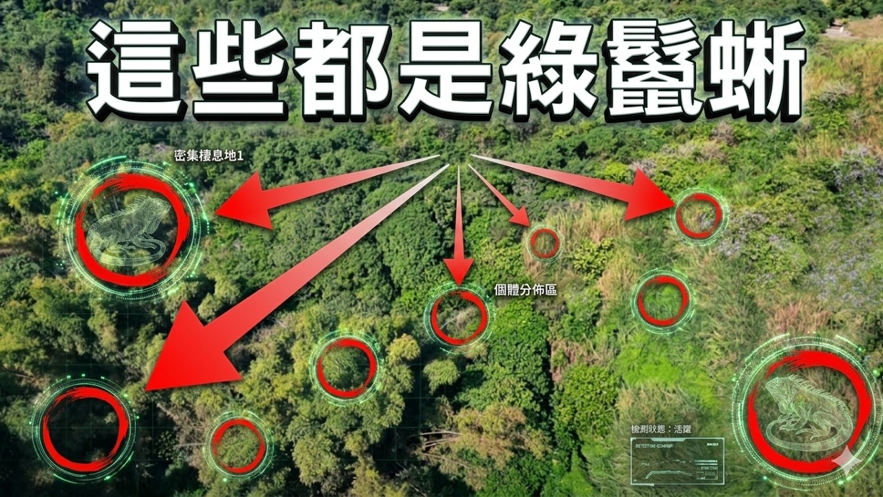 困難度SSS級 ! 高雄鳥松超大