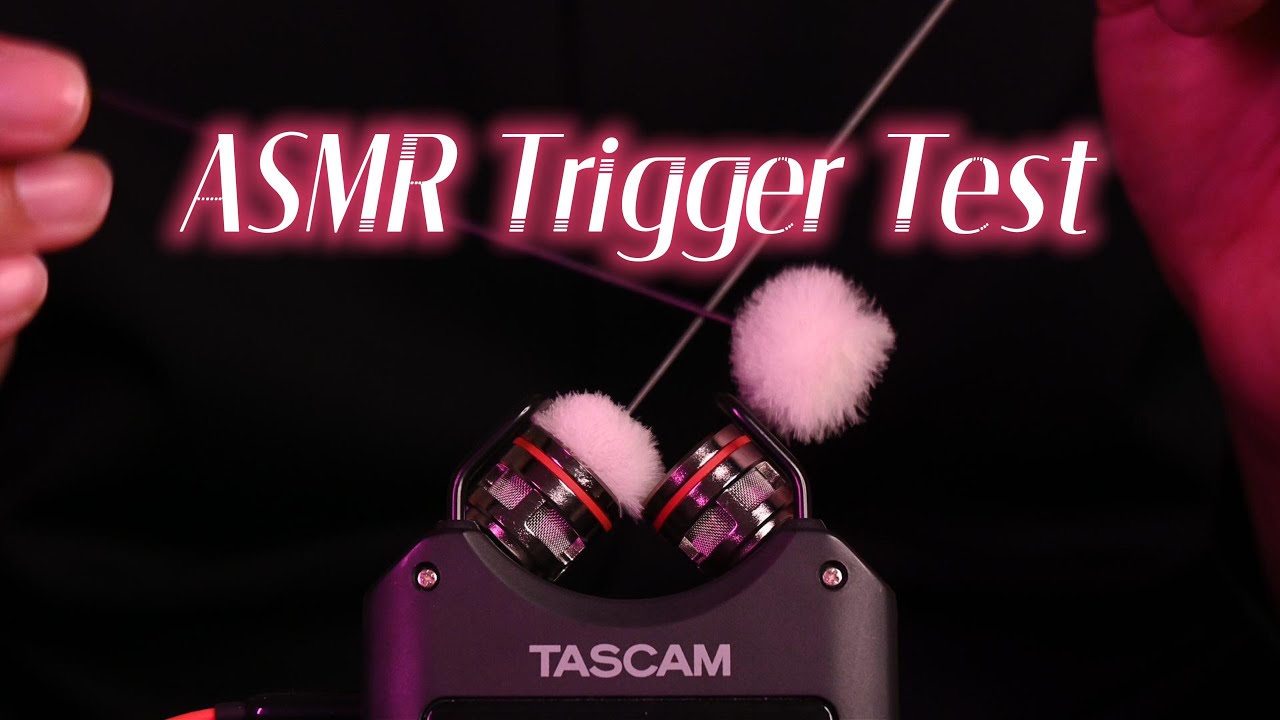 ASMR Trigger Test: Extreme Fiber Rod Friction on Back Teeth